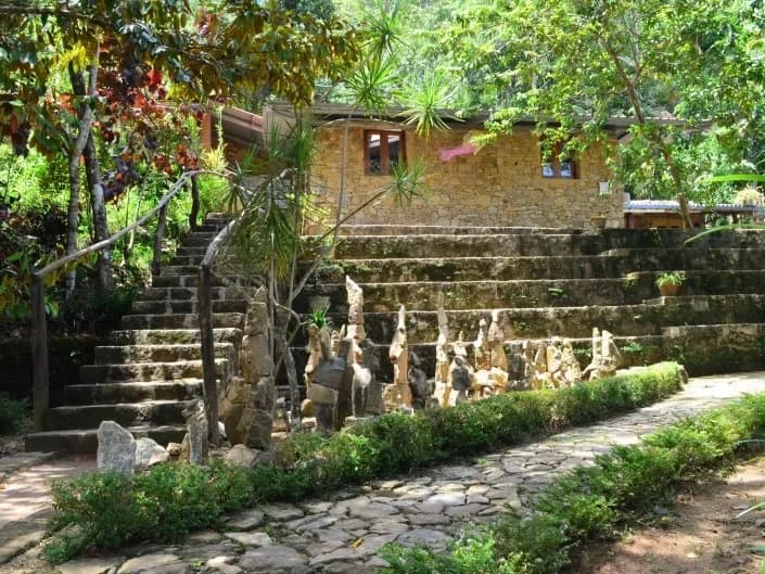 The garden